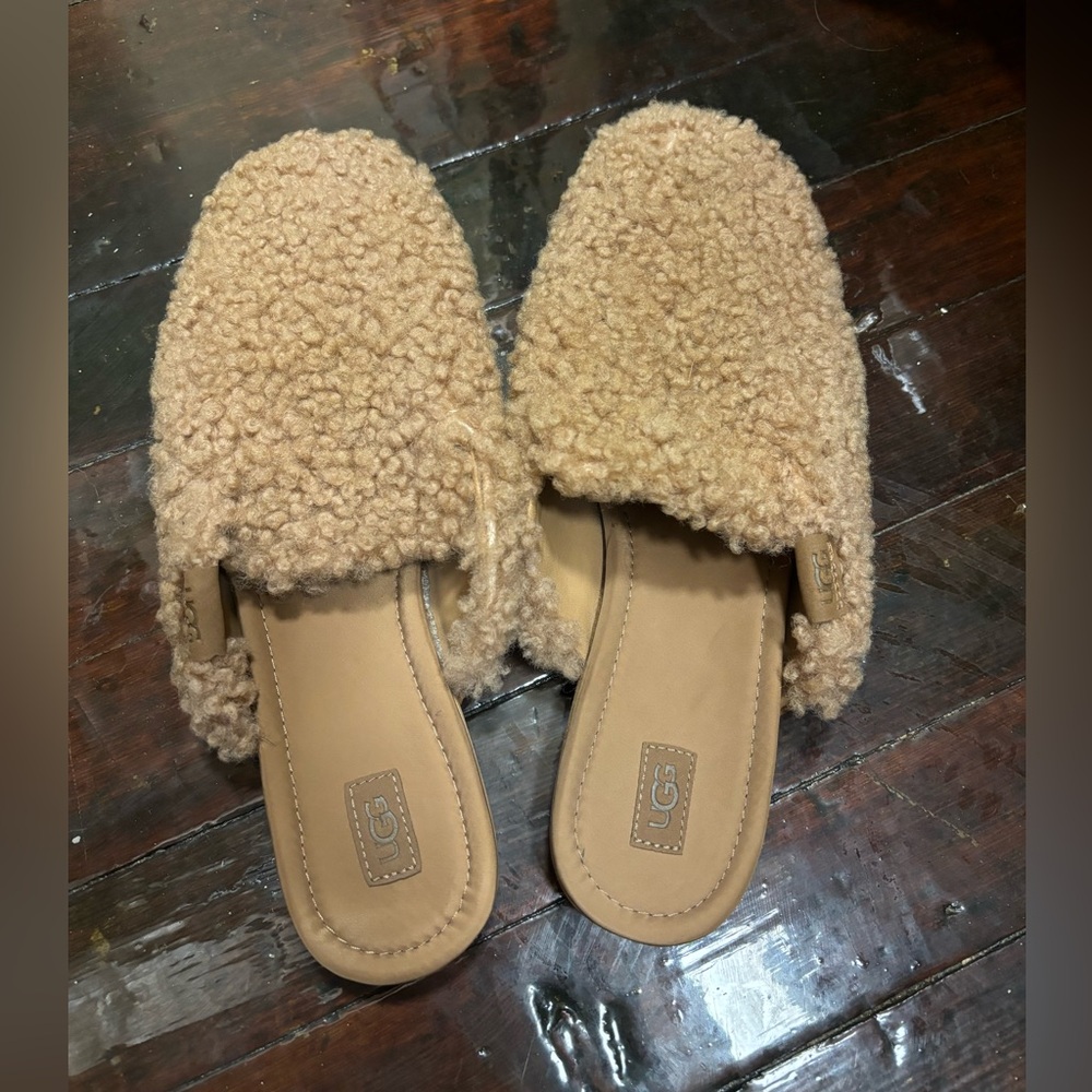 UGG Cozy Mules